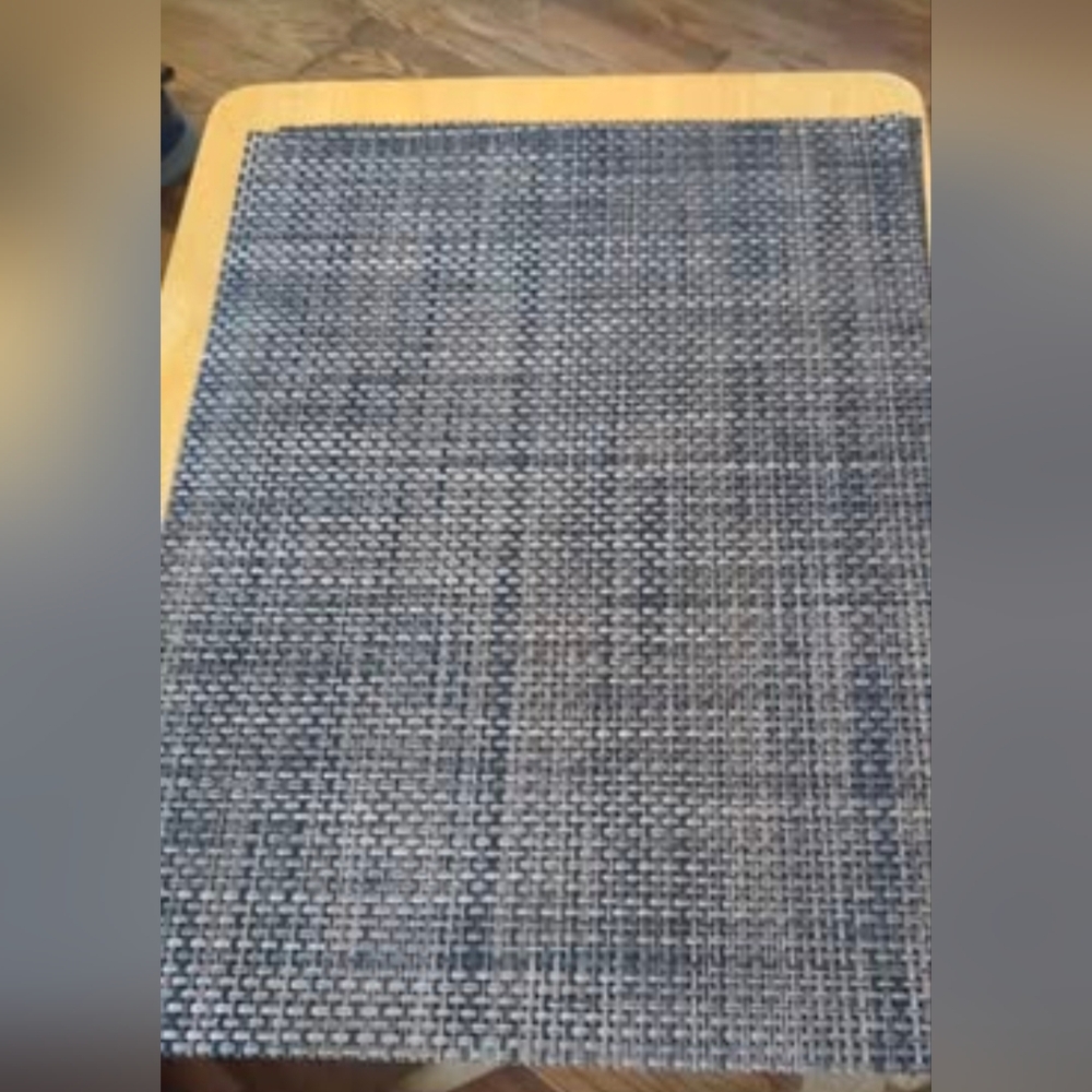 Pier1 imports Pair of Woven Placemats